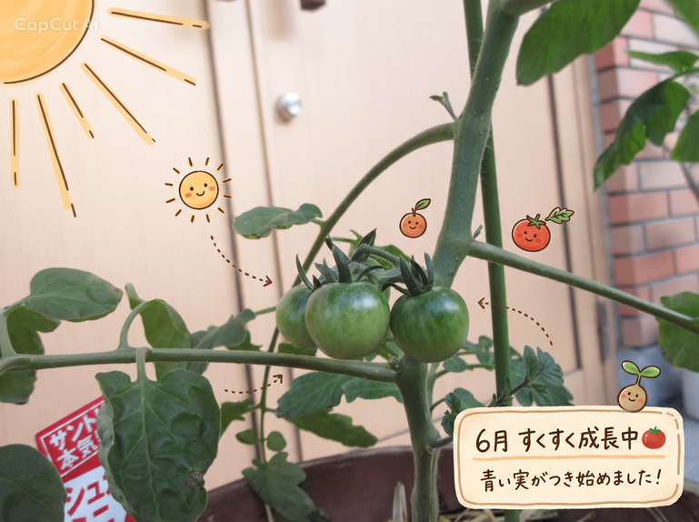 3.インスタ写真編集 .png