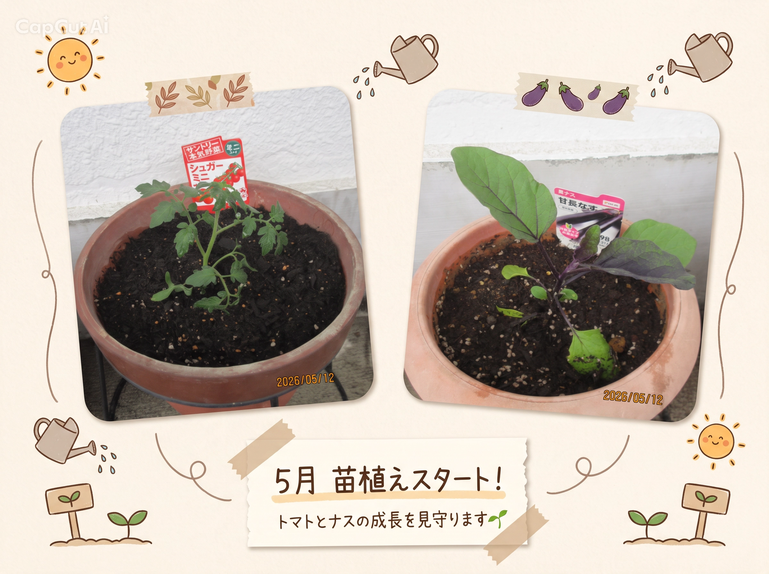 2.インスタ写真編集 .png