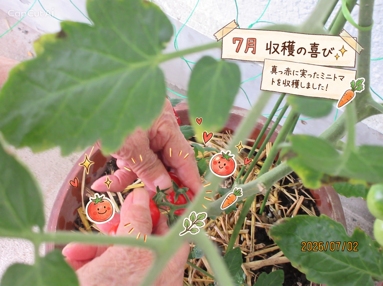 4.インスタ写真編集 .png