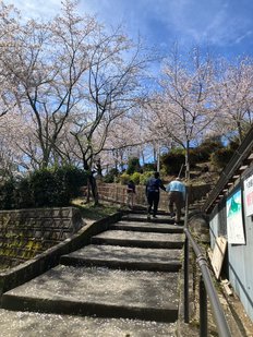 お花見に行きました
